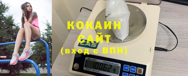 индика Володарск